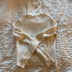 Zara Knit Cropped Turtleneck